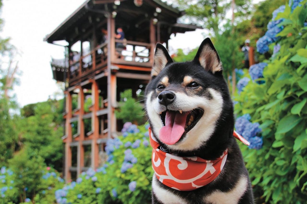 同居中の姑に嫌みを言わせない方法はありますか？【坂東眞理子さん】のすっきり人生相談（画像4）