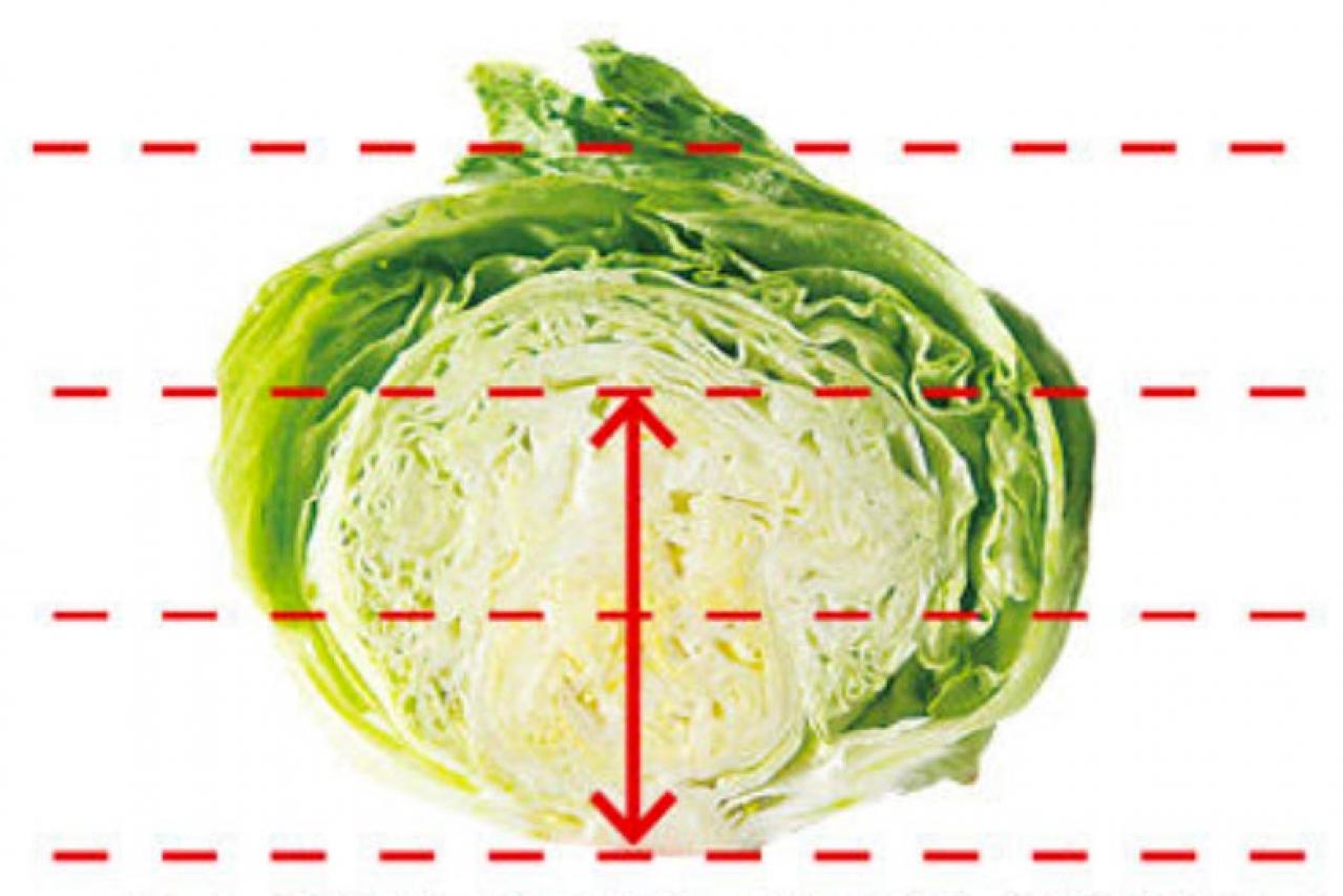 知ってる？「キャベツ」の活性酸素除去力が約5倍に増える調理法（画像3）