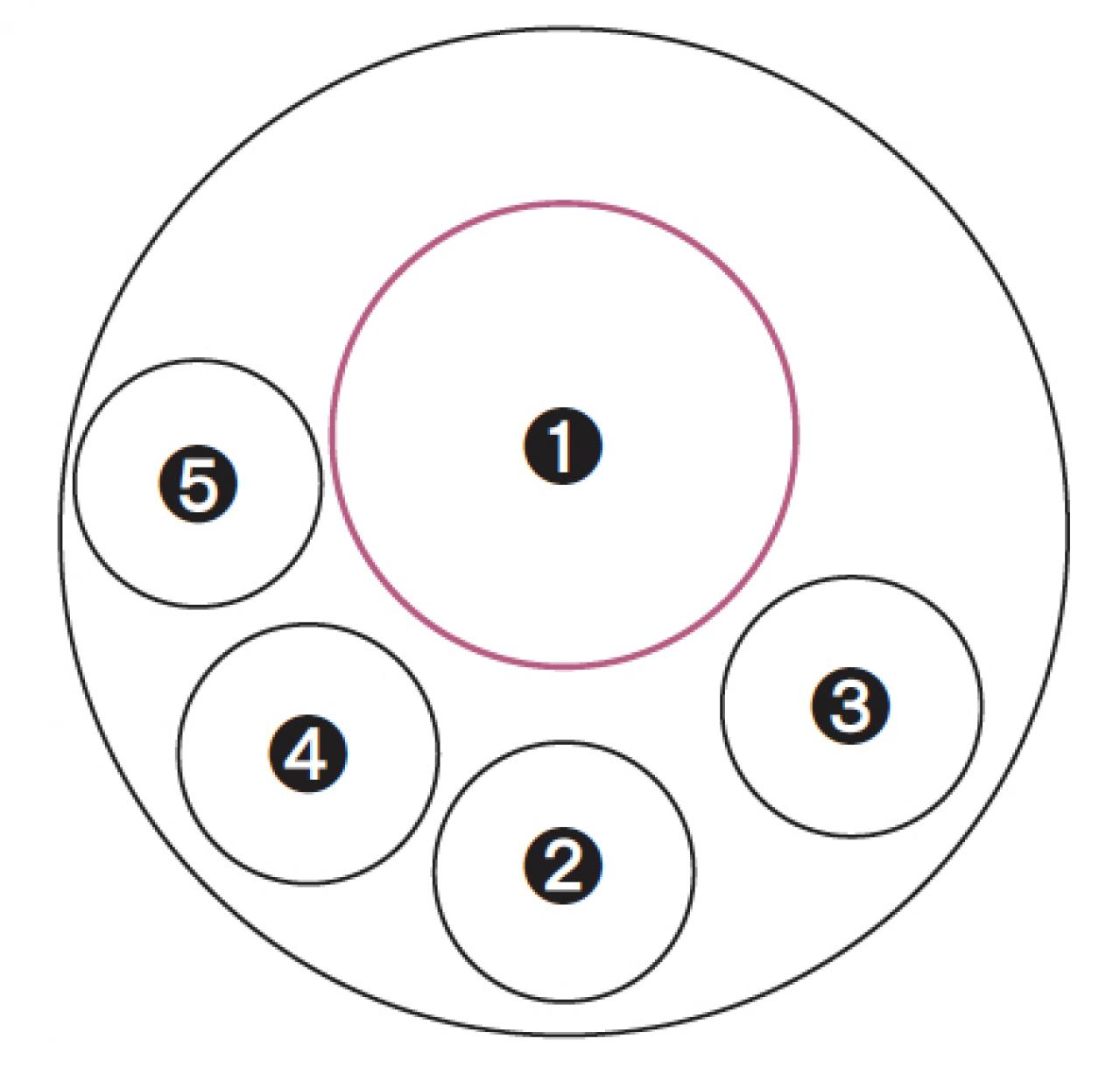 【ガーデニング】次々に花が咲く！ 吉谷桂子さんの「ピンクのアメリカアジサイの寄せ植え」（画像3）