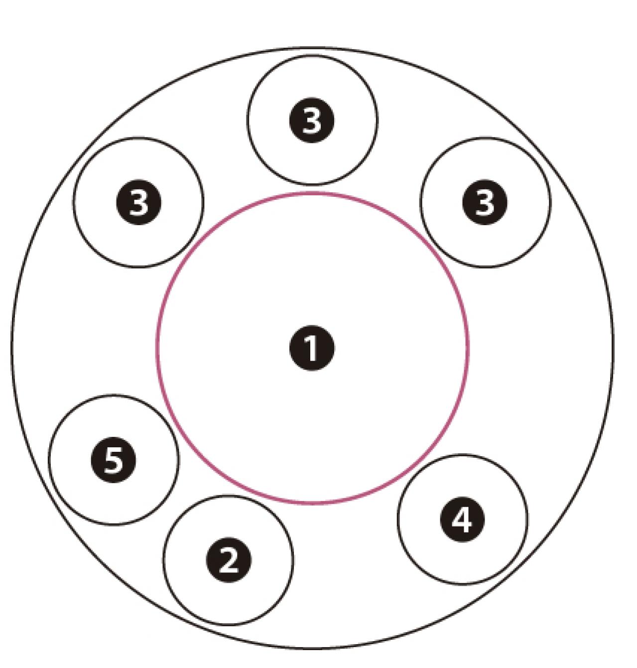 【ガーデニング】次々に花が咲く！ ピンクのアメリカアジサイの寄せ植え（画像5）