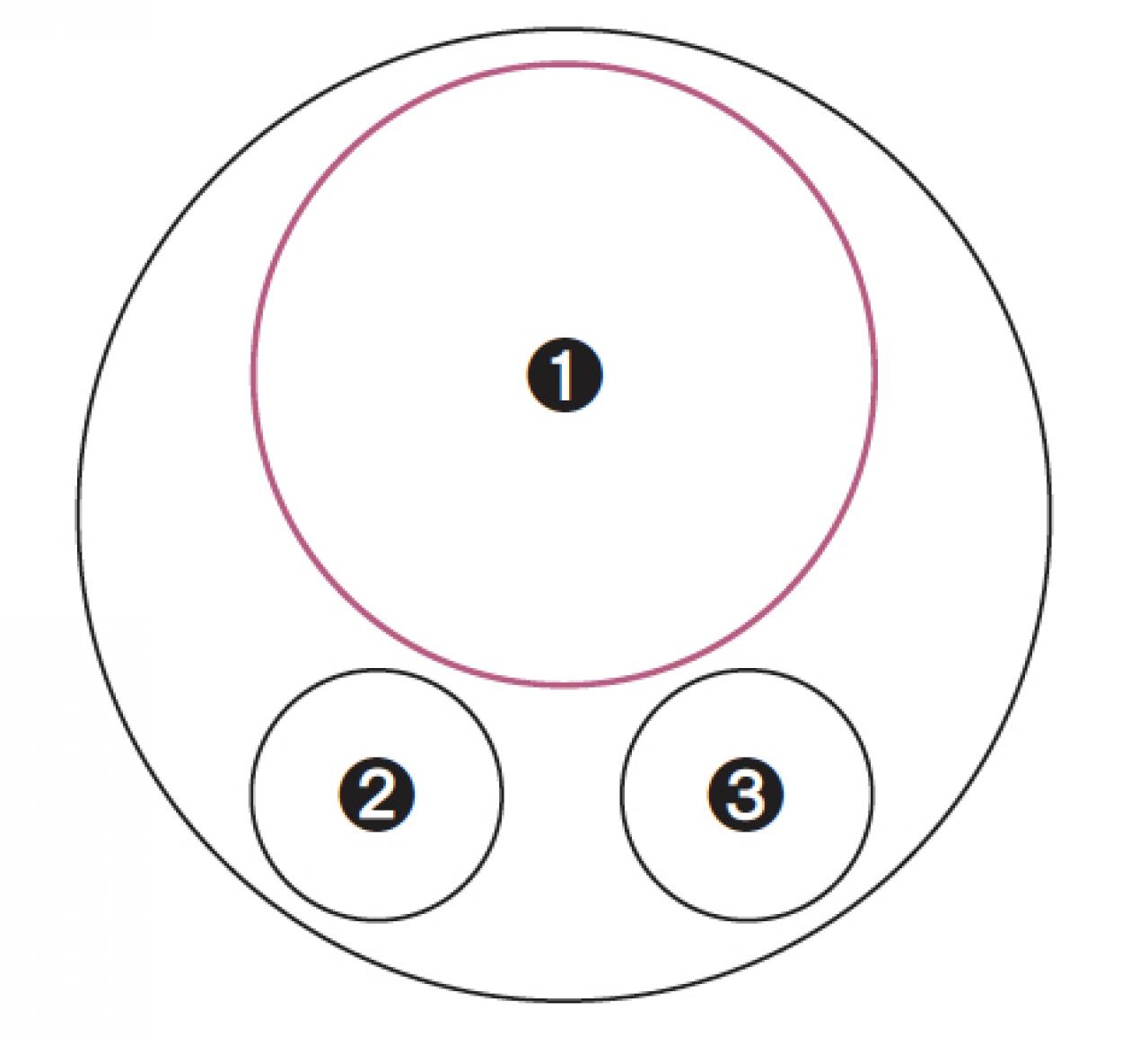 【ガーデニング】色の移ろいがすてき！ 吉谷桂子さんの「アンティークカラーのアジサイの寄せ植え」（画像7）