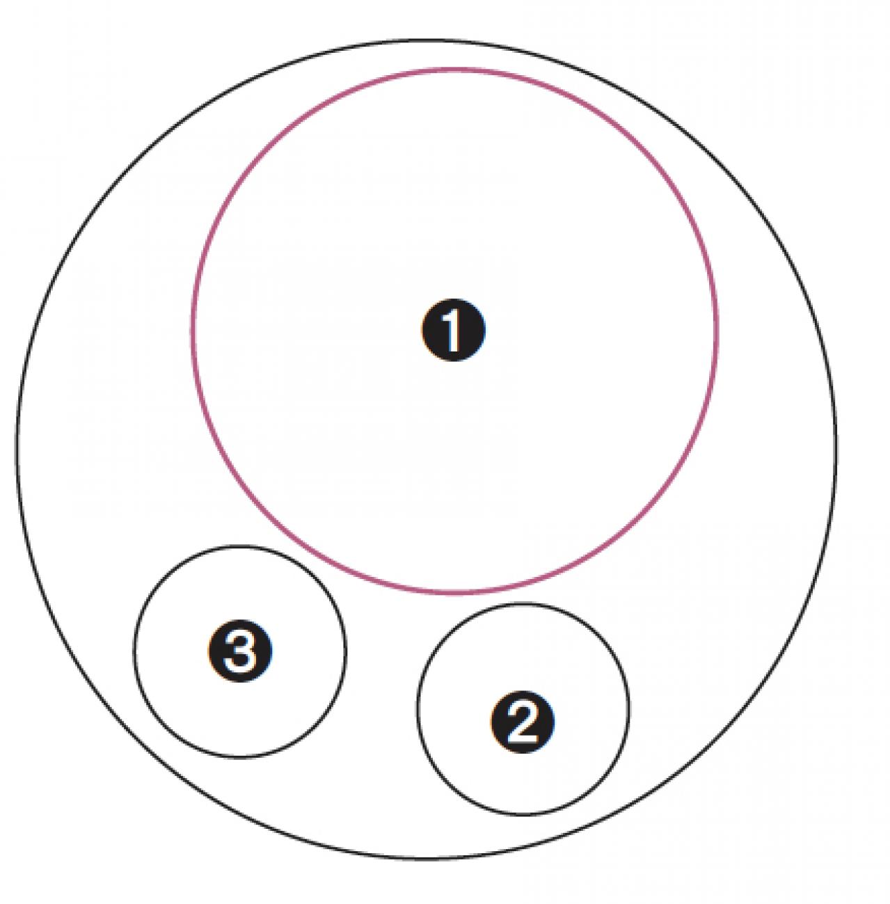【ガーデニング】さわやかな花色を楽しむ！ 吉谷桂子さんの「ブルーのアジサイ」の寄せ植え（画像3）