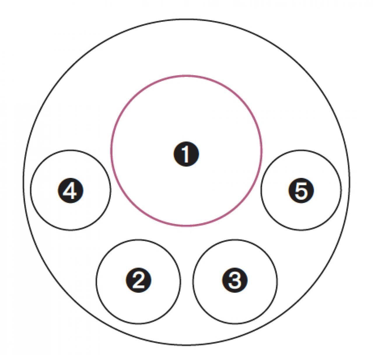 【ガーデニング】色の移ろいがすてき！ 吉谷桂子さんの「アンティークカラーのアジサイの寄せ植え」（画像5）