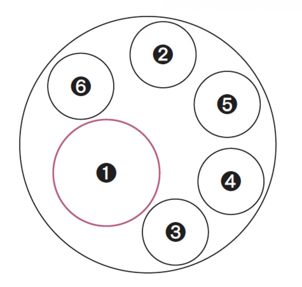 【ガーデニング】色の移ろいがすてき！ 吉谷桂子さんの「アンティークカラーのアジサイの寄せ植え」（画像3）