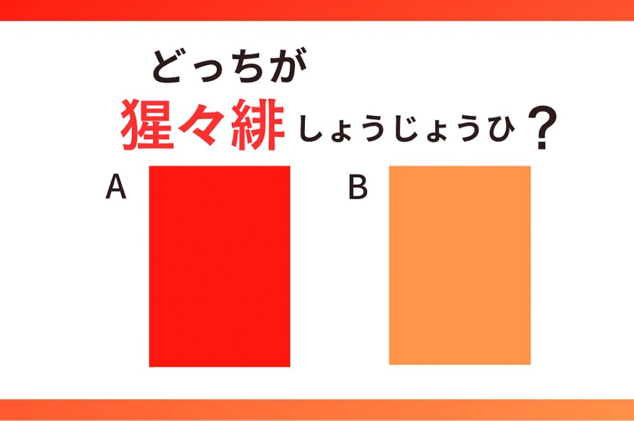 【色の名前クイズ】どっちが「猩々緋（しょうじょうひ）」？