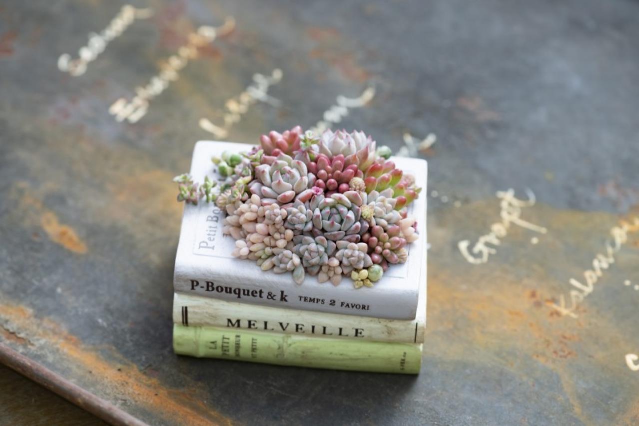 「おしゃれな色合いにキュンです」花に見立てた多肉植物の寄せ植えを作ってみよう