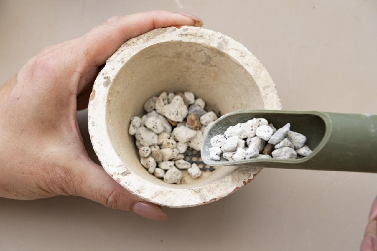 「おしゃれな色合いにキュンです」花に見立てた多肉植物の寄せ植えを作ってみよう（画像7）