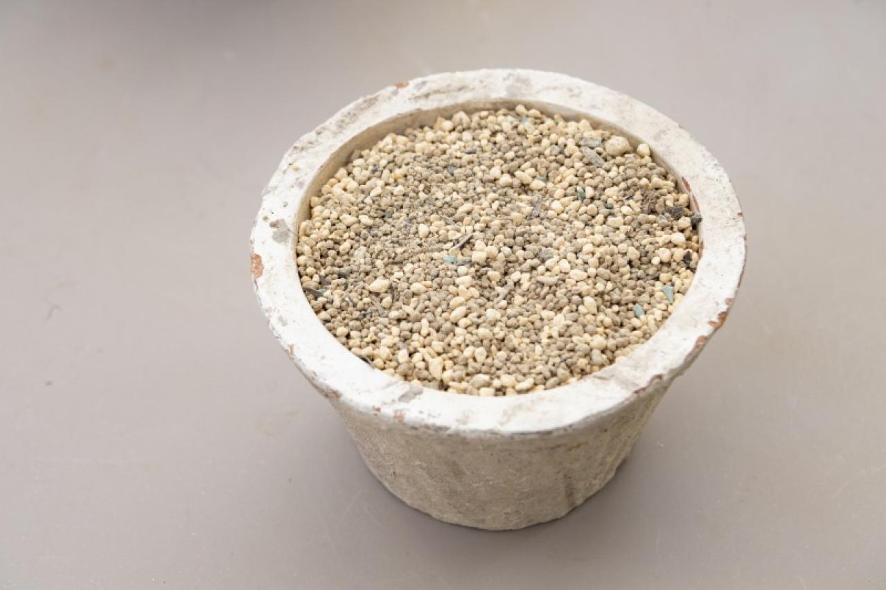 「おしゃれな色合いにキュンです」花に見立てた多肉植物の寄せ植えを作ってみよう（画像9）