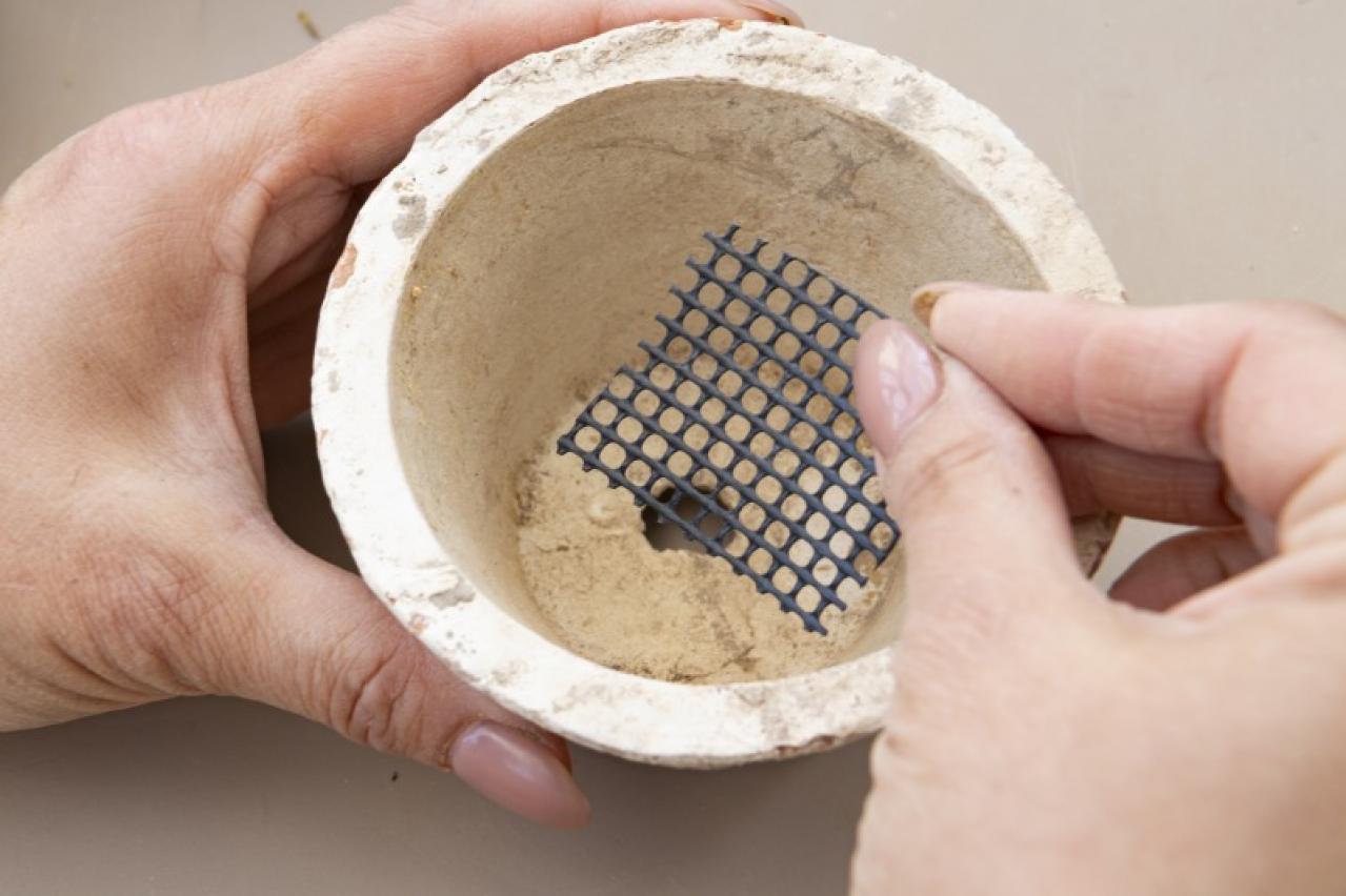 「おしゃれな色合いにキュンです」花に見立てた多肉植物の寄せ植えを作ってみよう（画像6）