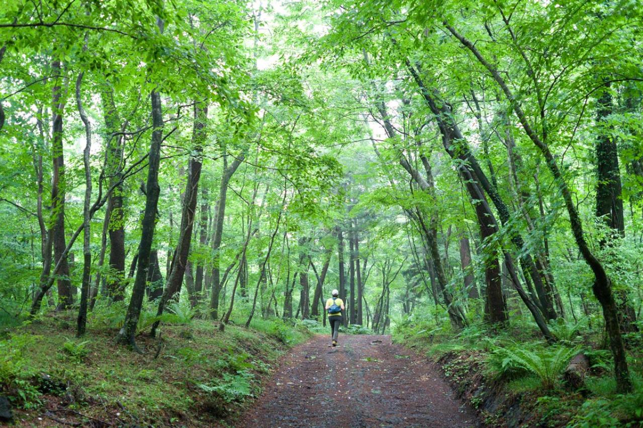 「シークレット・ガーデン」を久々に一気見。ヒョンビンのラメジャージにどうしようもなく惹かれる1〜5話レビュー【韓国ドラマ】