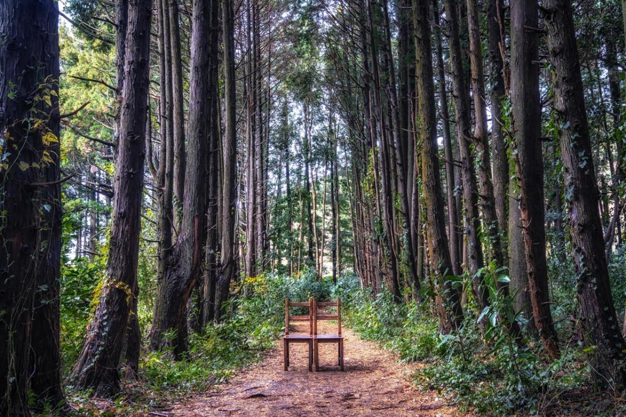 「シークレット・ガーデン」を久々に一気見。ヒョンビンのラメジャージにどうしようもなく惹かれる1〜5話レビュー【韓国ドラマ】（画像3）