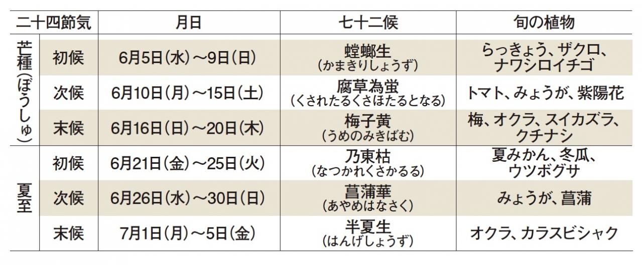 人生が上向く【ボタニカル散歩】とは？ベストセラー作家・アズ直子さんおすすめ［後編］（画像11）