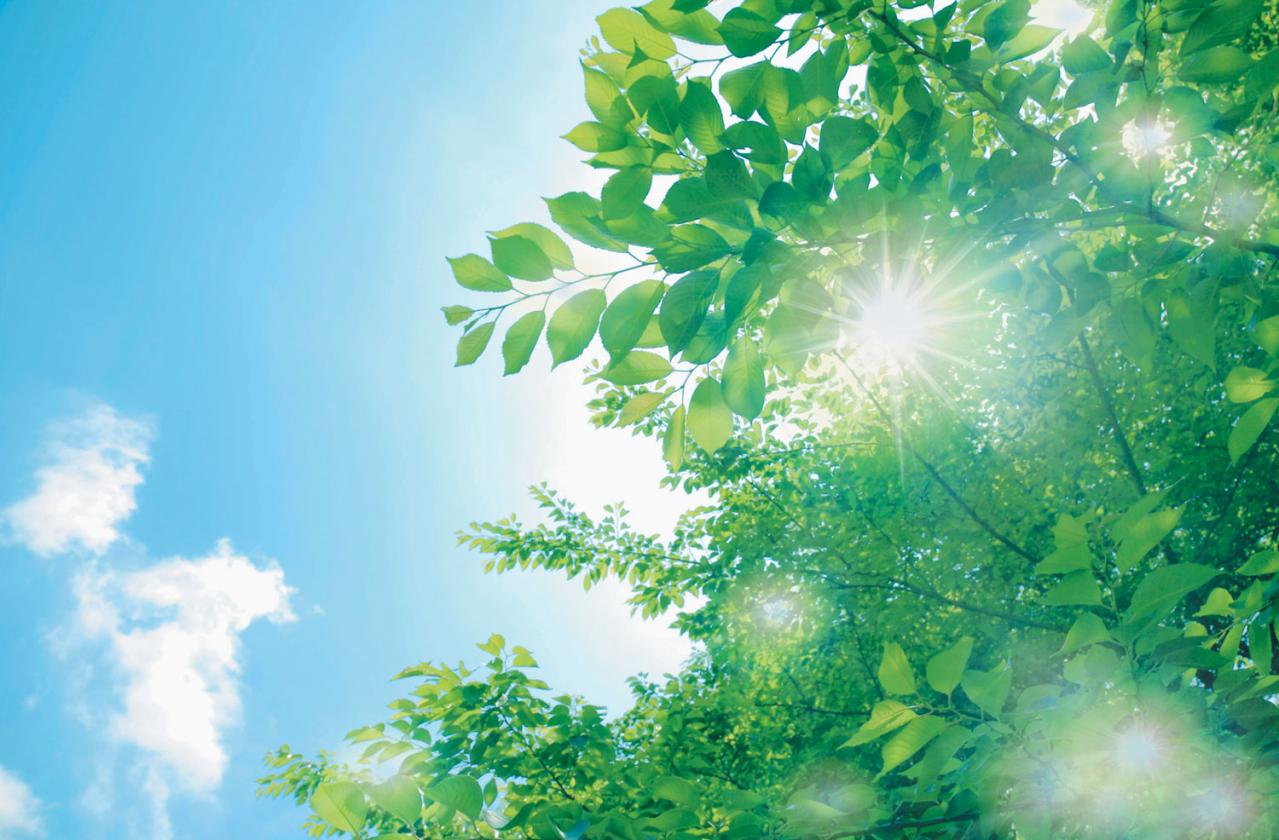 人生が上向く【ボタニカル散歩】とは？ベストセラー作家・アズ直子さんおすすめ［後編］（画像12）