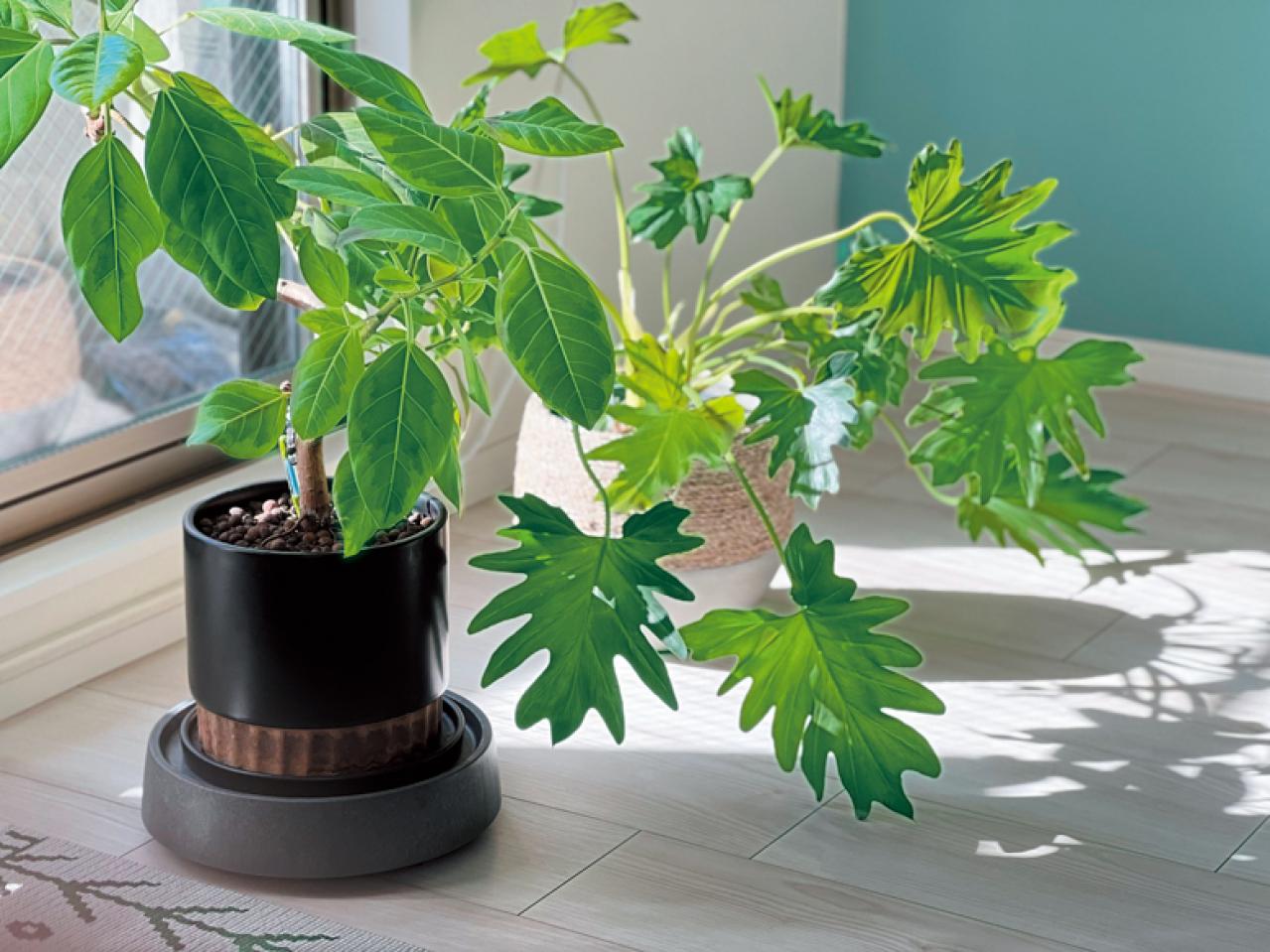 【大人のひとり暮らし】ワンルーム住まいにちょうどいいモノの量とは？ 人気ブロガーcoyukiさんの実例［後編］（画像12）