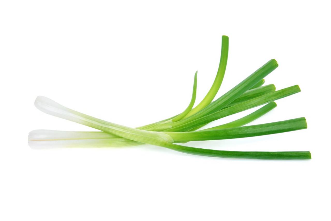 知ってる？「長ねぎ」の抗酸化力が2.5倍にアップする調理法