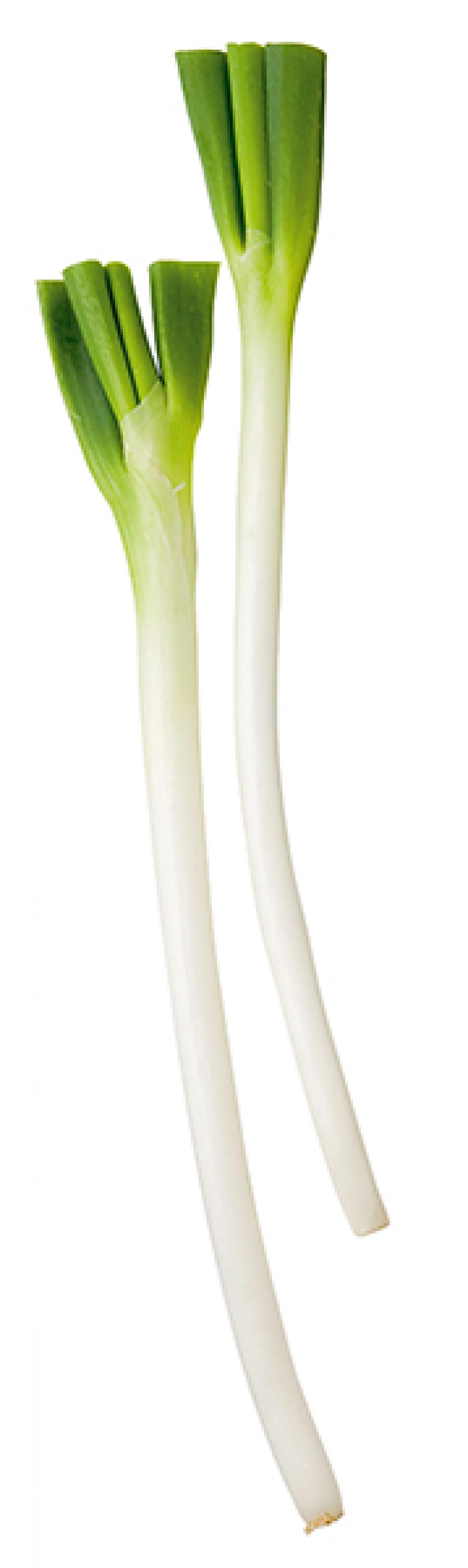 知ってる？「長ねぎ」の抗酸化力が2.5倍にアップする調理法（画像3）