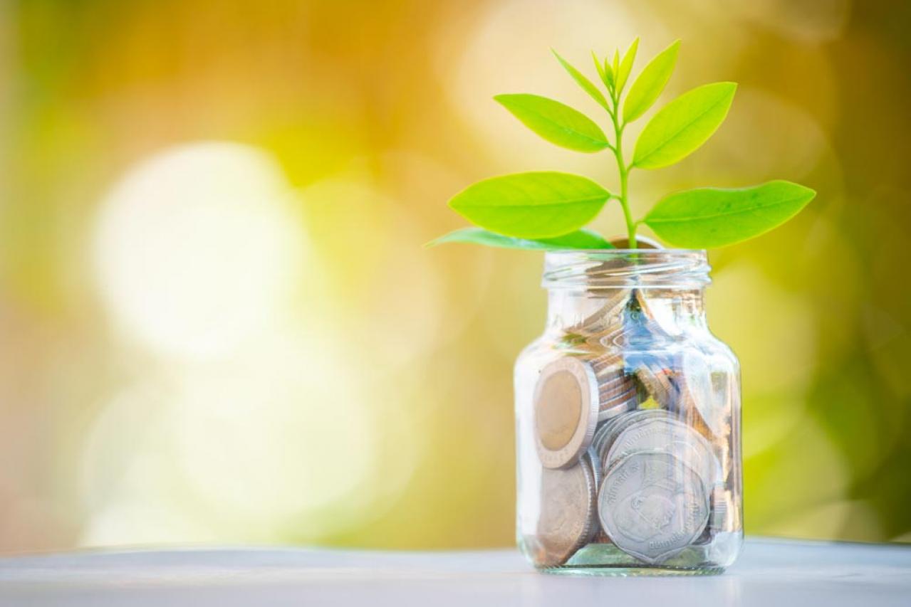 50代後半からNISAを始めるのは遅すぎる？ 始めるとしたら気をつけたいことは？井戸美枝先生がアドバイス（画像3）