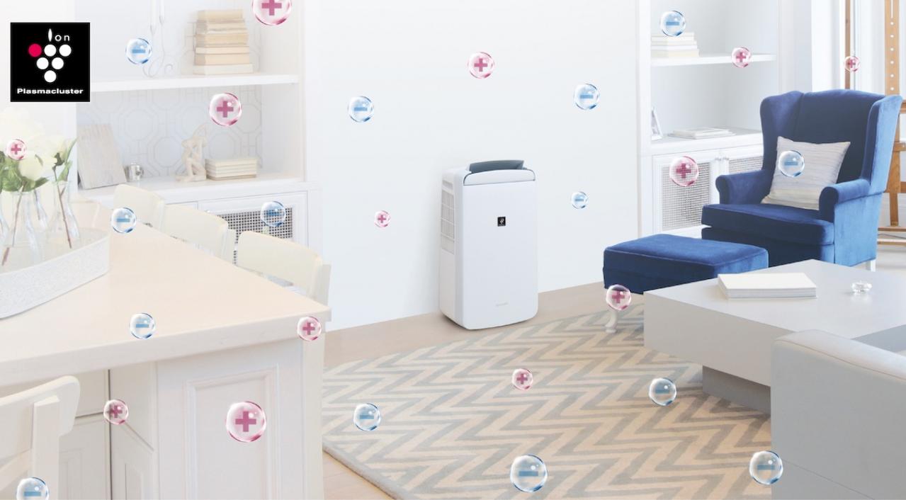 梅雨時の部屋干しの強い味方【衣類乾燥除湿機】3選。これで生乾き臭ゼロ！ 家電のプロ・神原サリーさんおすすめ（画像8）