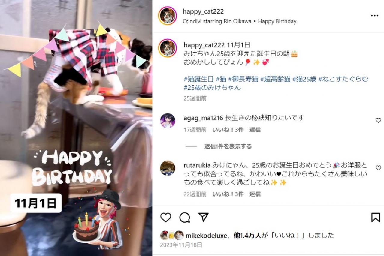 【追悼・25歳のみけちゃん】人間なら116歳の奇跡の猫逝く・編集担当が語る取材秘話（画像3）