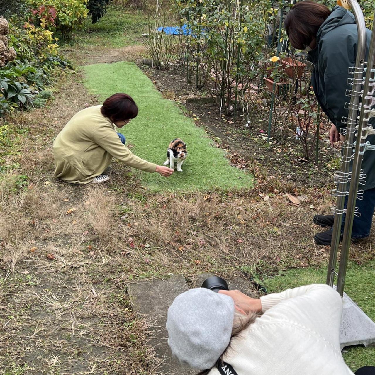 【追悼・25歳のみけちゃん】人間なら116歳の奇跡の猫逝く・編集担当が語る取材秘話（画像4）
