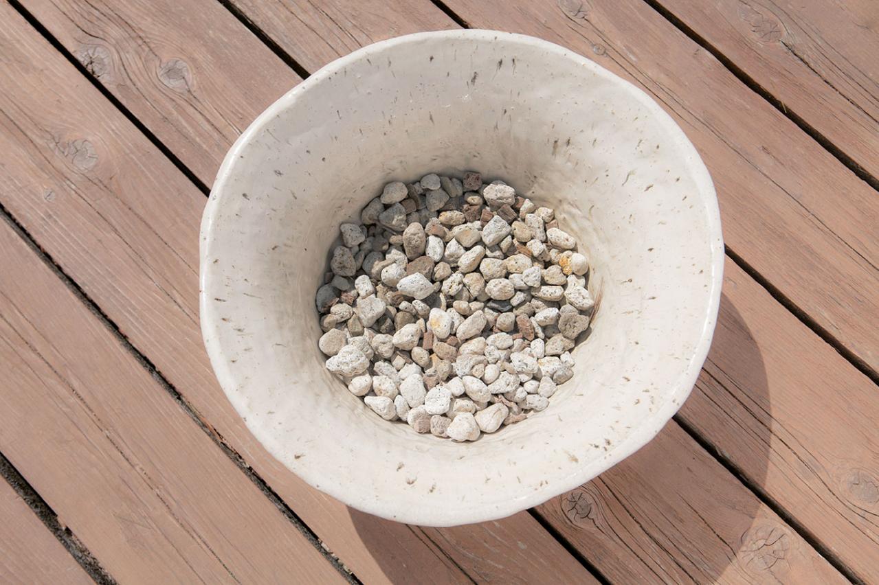 【寄せ植えガーデニング】育てやすく、初心者でもOK！ サラダ用ハーブのコンテナ（画像10）