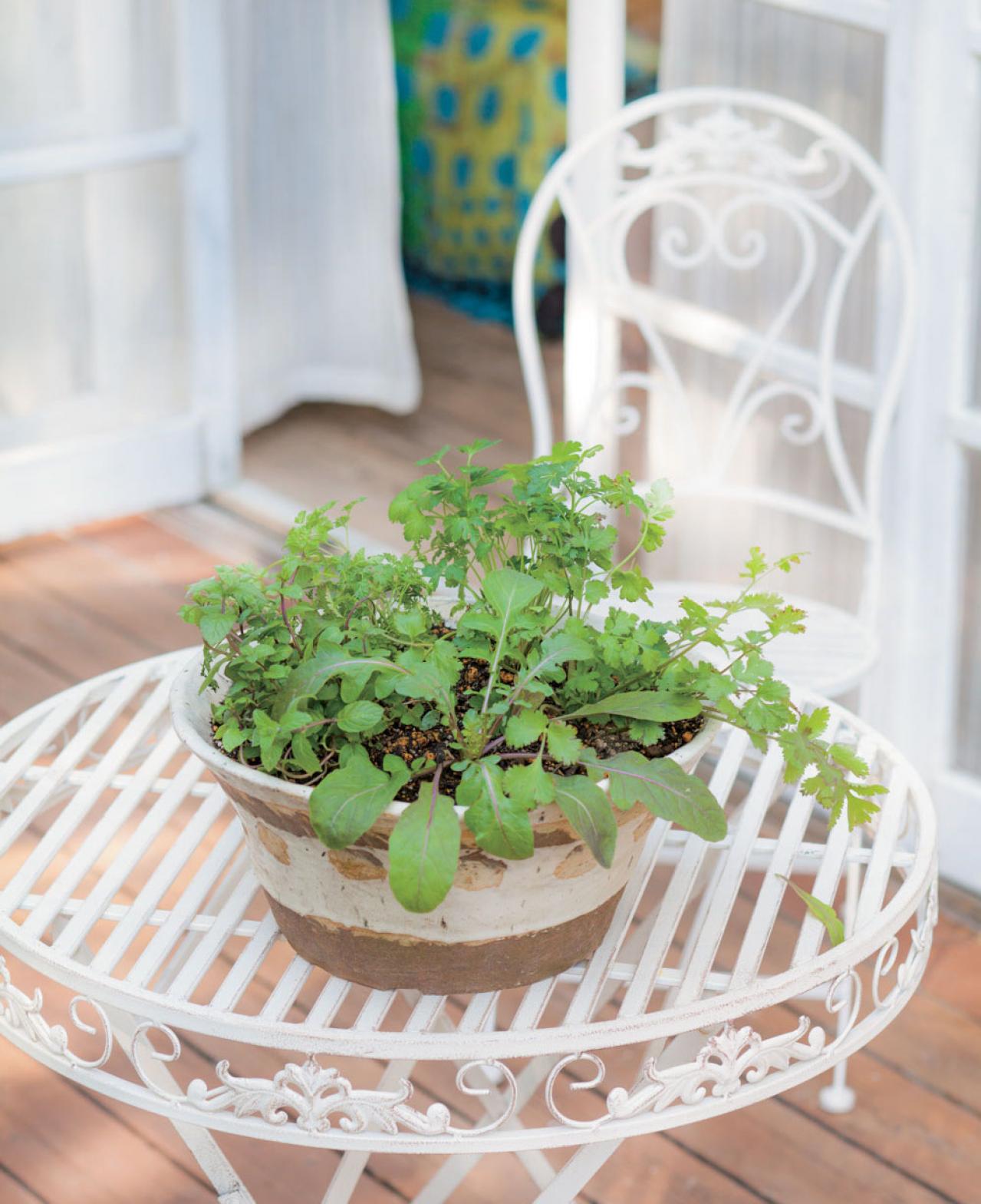 【寄せ植えガーデニング】育てやすく、初心者でもOK！ サラダ用ハーブのコンテナ（画像2）