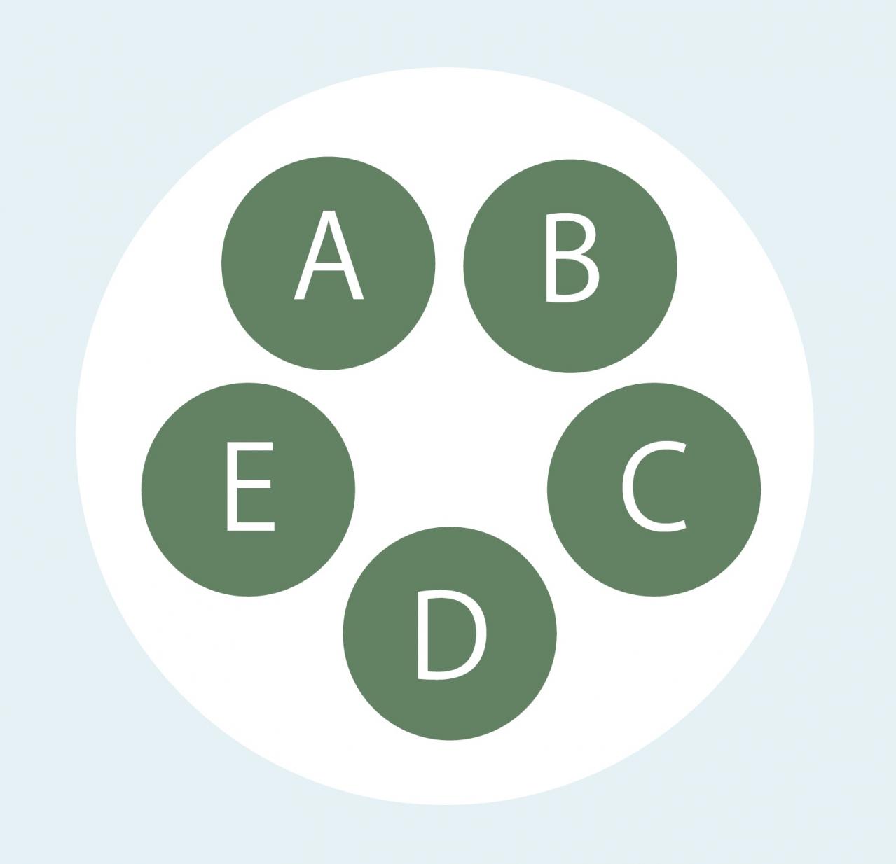 【寄せ植えガーデニング】育てやすく、初心者でもOK！ サラダ用ハーブのコンテナ（画像3）