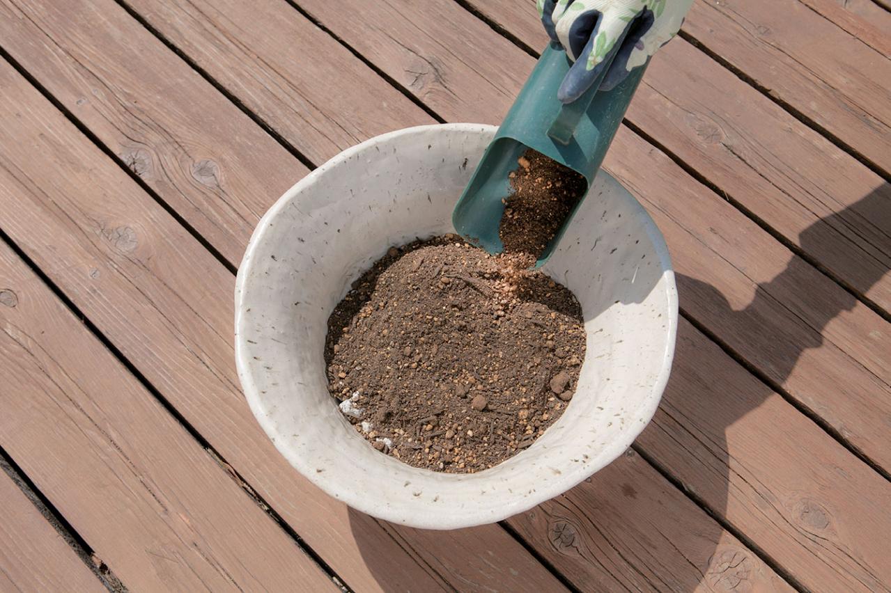 【寄せ植えガーデニング】育てやすく、初心者でもOK！ サラダ用ハーブのコンテナ（画像11）