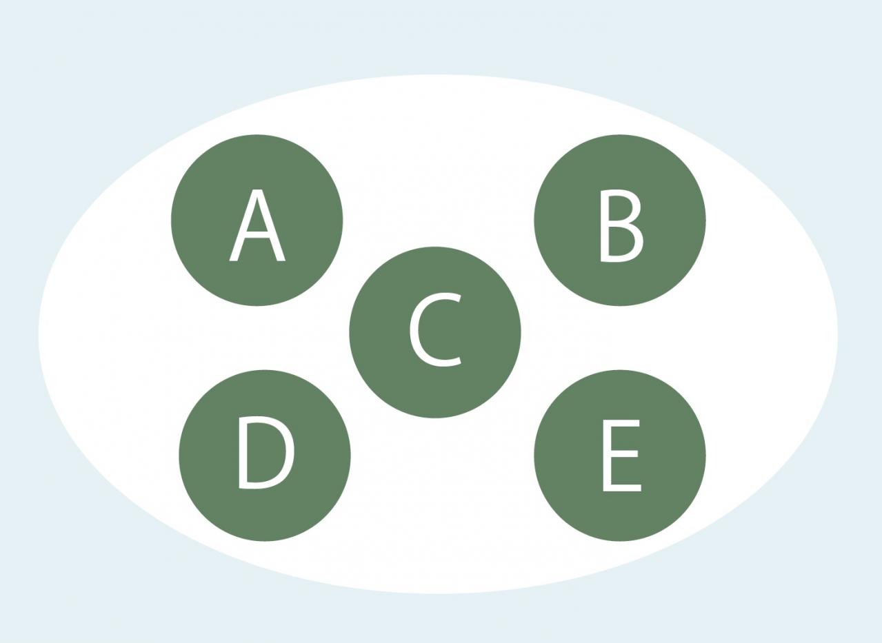 【寄せ植えガーデニング】育てやすく、初心者でもOK！ サラダ用ハーブのコンテナ（画像19）