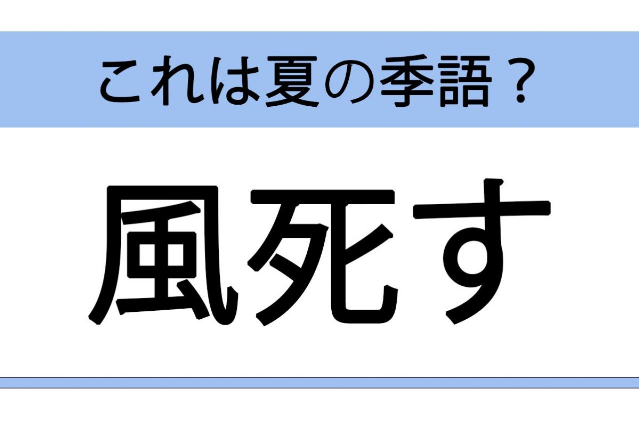 【クイズ】風薫る・風死す・風通す・風光る。風にまつわる季語で、夏以外の季語はどれ？