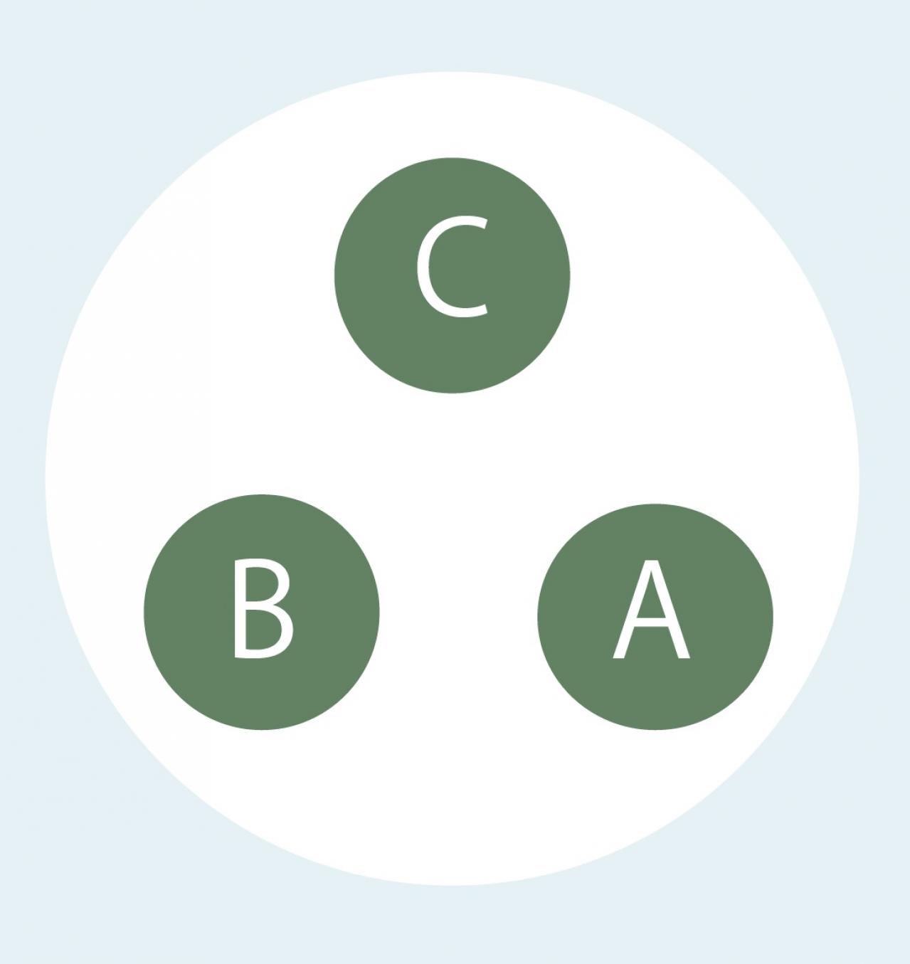 【寄せ植えガーデニング】長く育てて楽しむ！ 多年草・樹木ハーブのコンテナ（画像3）