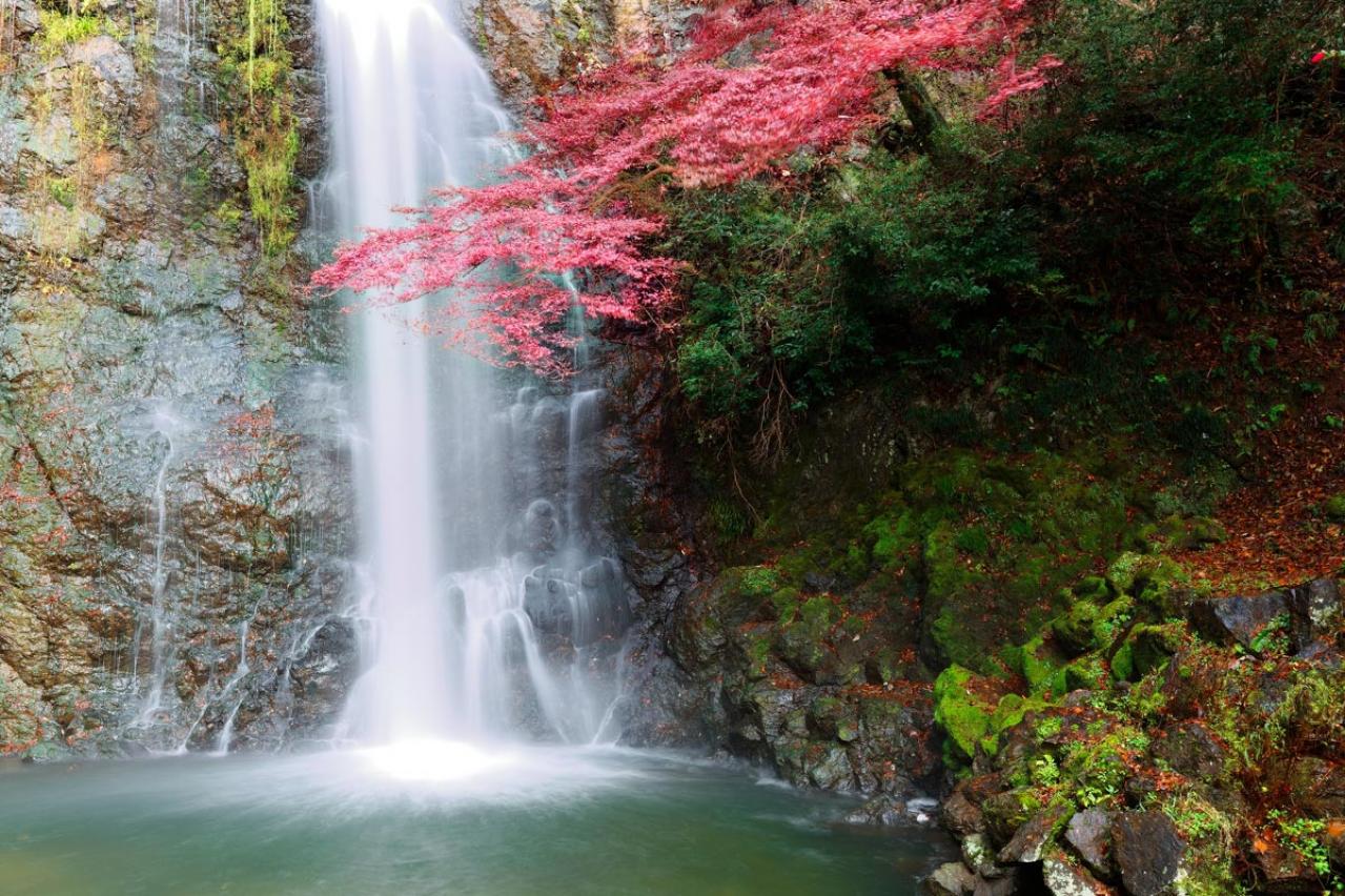 【虎に翼】滝行もスルメもリアルだった！「家庭裁判所の父」と呼ばれた多岐川幸四郎（滝藤賢一）のモデルとされる宇田川潤四郎の半生とは（画像2）