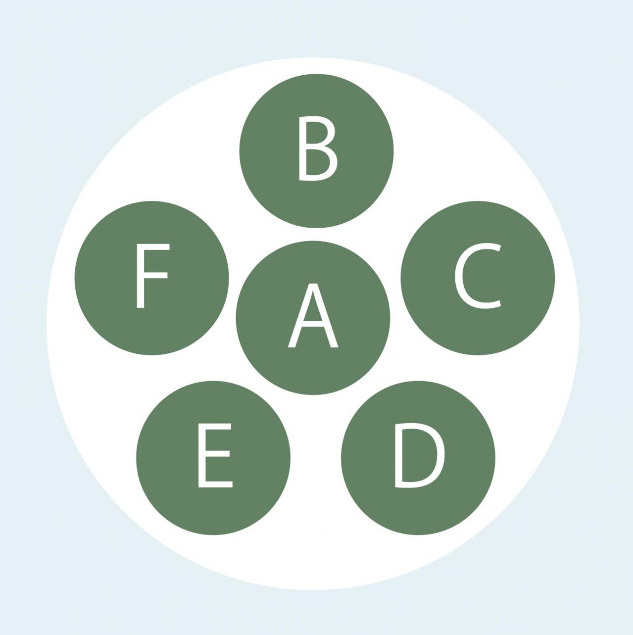 【寄せ植えガーデニング】長く育てて楽しむ！ 多年草・樹木ハーブのコンテナ（画像8）