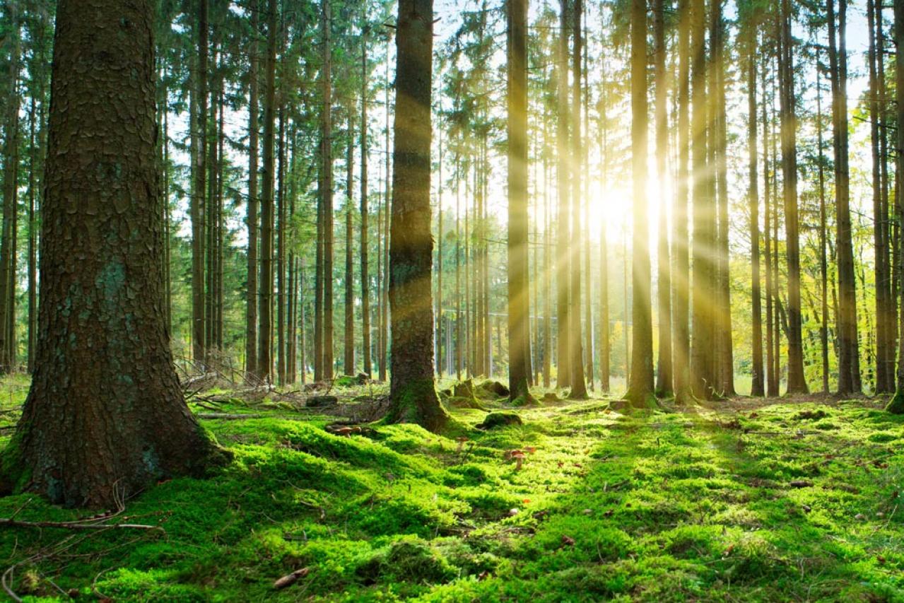 貯まる人になる！「お金のメンタル」のコントロールとは？ 中道あんさん流 家計術（画像4）