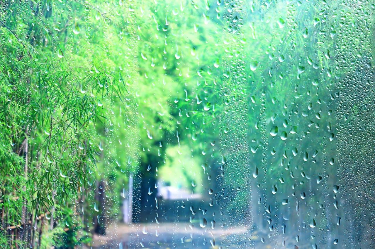 「雨の日は調子が悪く、人に会いたくない」と思ったら読んでみて！カウンセラー 時田ひさ子さんがアドバイス