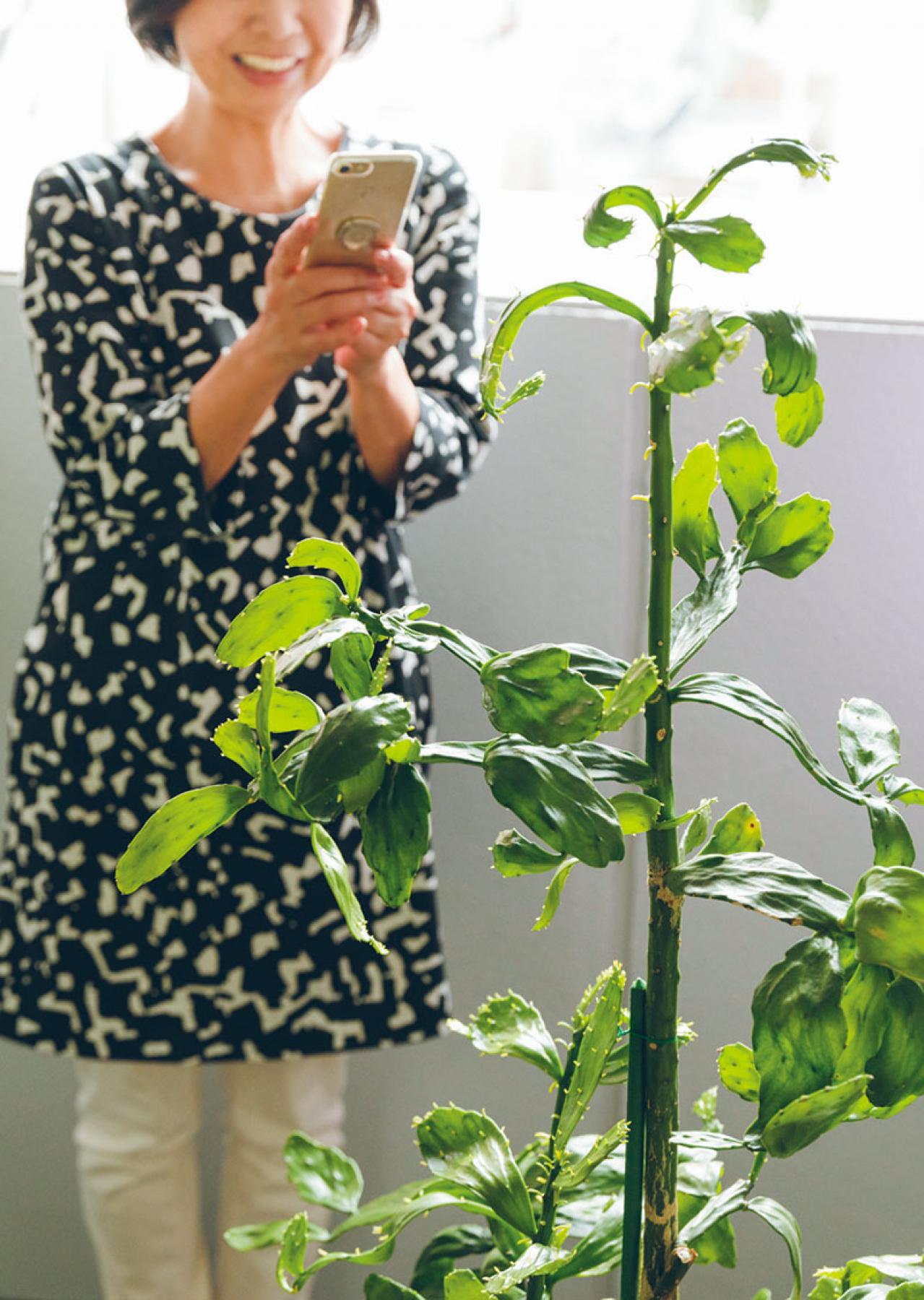 質のいいダウンコートが2500円！人気ブロガー・ショコラさんに聞く【メルカリで購入&出品のコツ】（画像13）
