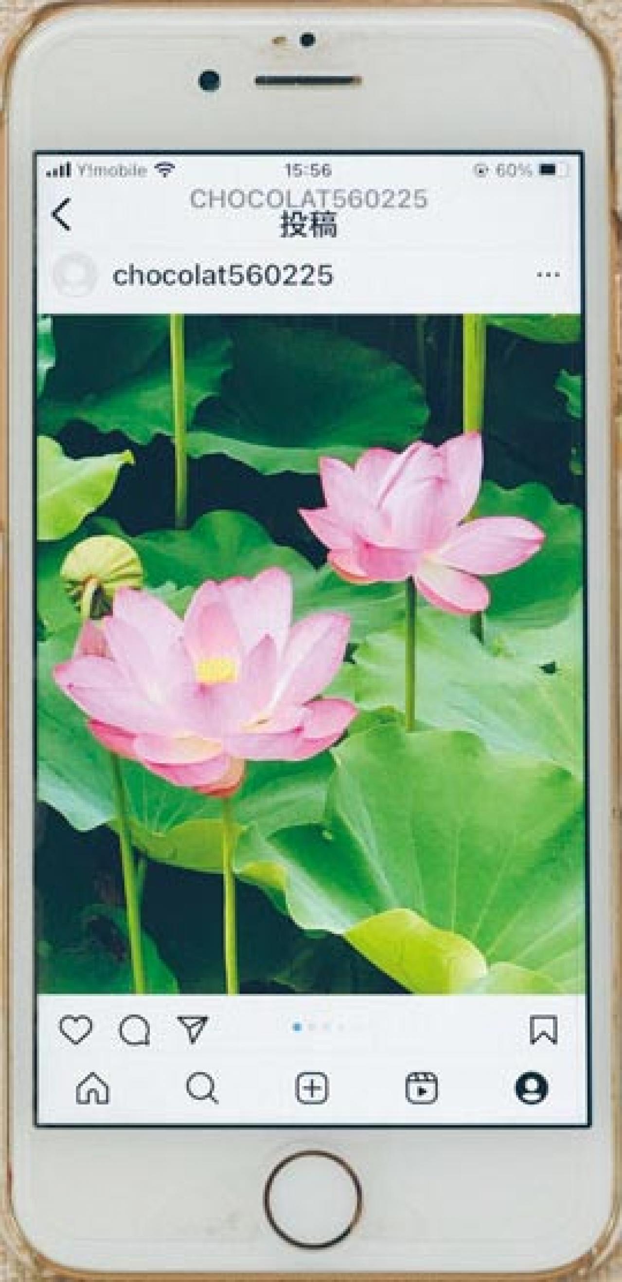 質のいいダウンコートが2500円！人気ブロガー・ショコラさんに聞く【メルカリで購入&出品のコツ】（画像16）