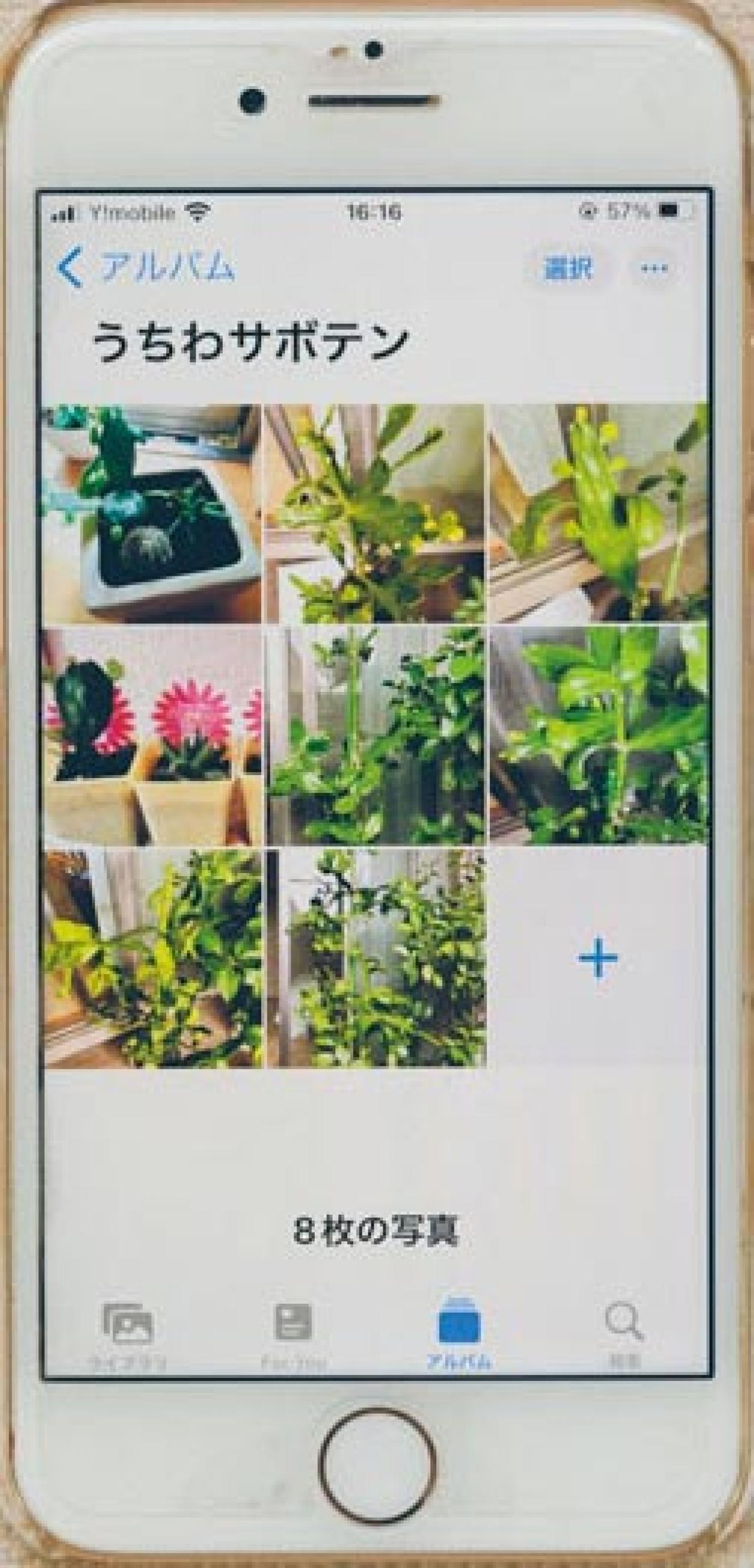 質のいいダウンコートが2500円！人気ブロガー・ショコラさんに聞く【メルカリで購入&出品のコツ】（画像14）