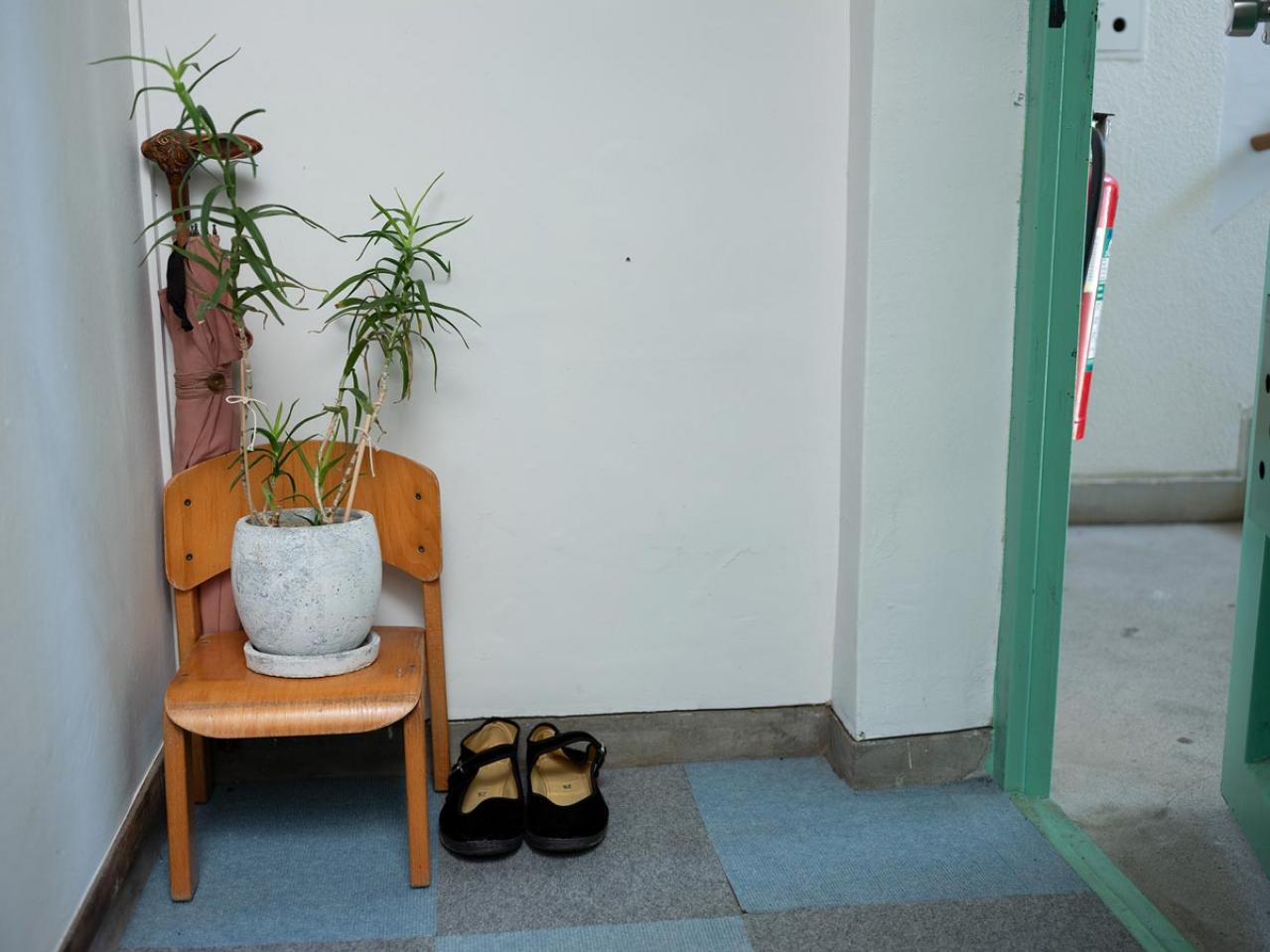 48年ぶりのひとり暮らし…「介護、看取り、いろいろあるけど、なるようになる！」イラストレーター 本田葉子さん（画像4）