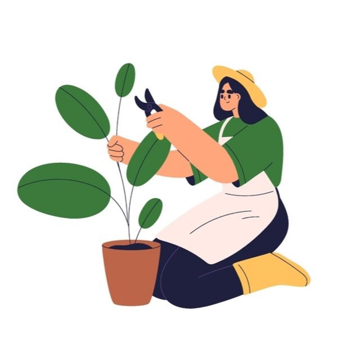 「あなたの気持ちを分かってくれる人はそばにいます」【2024年下半期の運勢】12星座別 山田ありすのHAPPY占い【蠍座】（画像3）