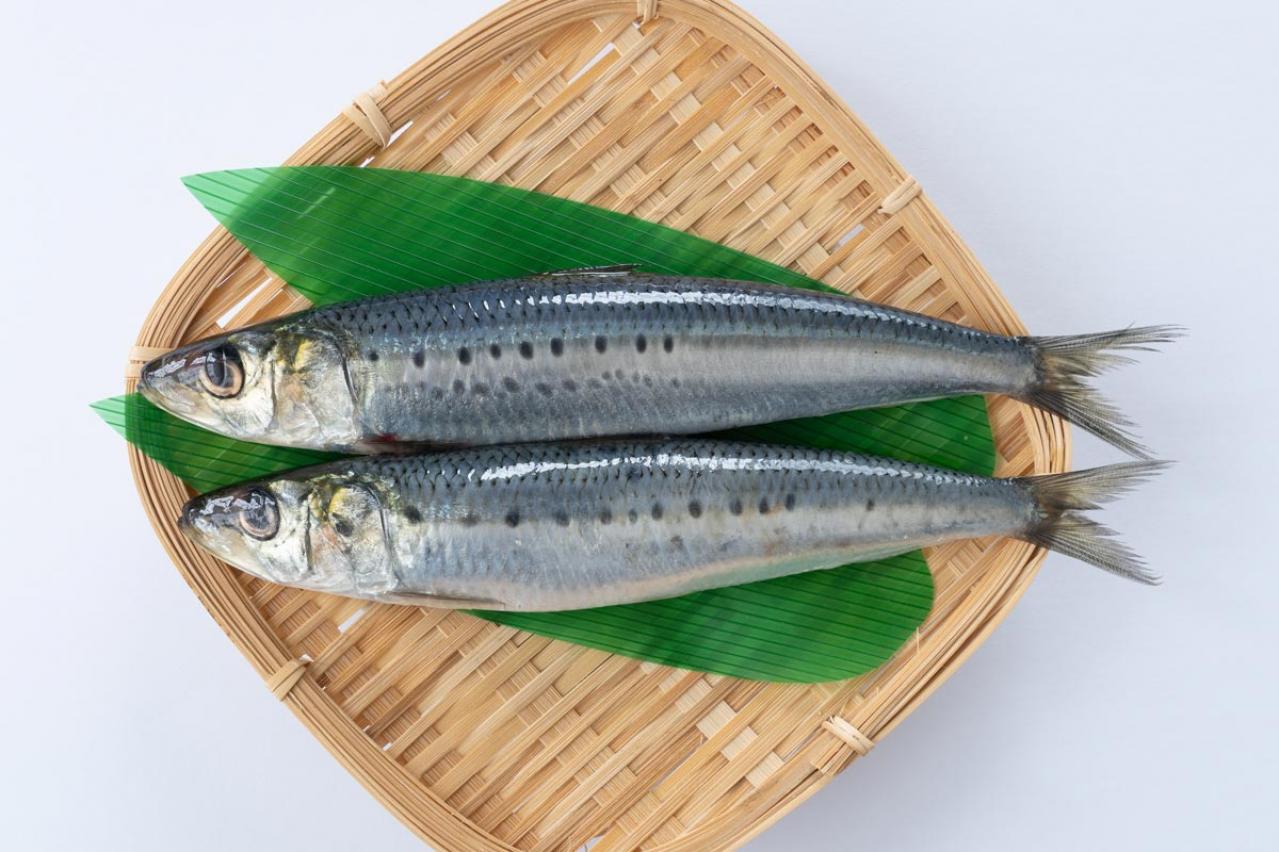 【いわし】のEPAやDHAがまるごととれる！おすすめ調理法とは？