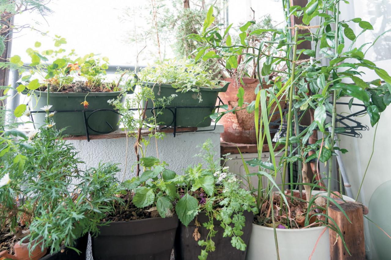 ひとり遊びが上手な70代とは？【孤独にならない生き方のコツ】料理研究家・谷島せい子さん76歳（画像4）