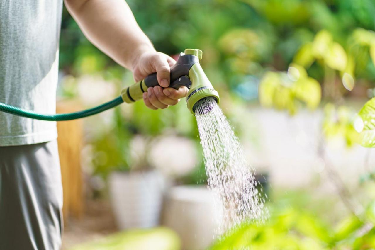 【ガーデニング】猛暑でも枯らさない！真夏の鉢植えの水やり術と水切れレスキュー法（画像5）