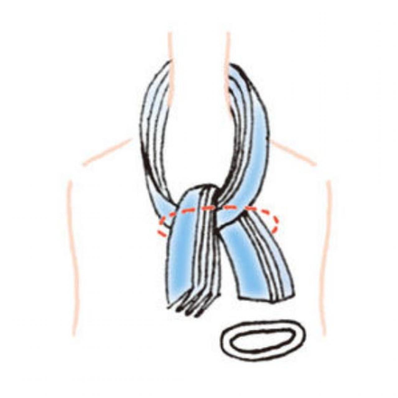 紫外線からも冷房の風からも首をガード【小さめスカーフ】1枚あればできる「ループリボン」と「ピエロ」（画像14）