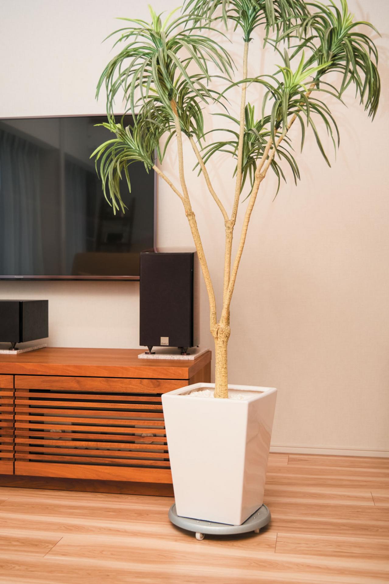 【掃除の裏技】フロアワイパー＋ちょっとの工夫で、リビングと寝室がもっとラクにキレイ！（画像9）