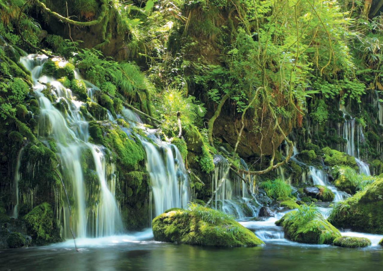 【真夏でも涼しい滝】3選｜旅行のプロおすすめの夏に行きたい日本の水辺（画像4）