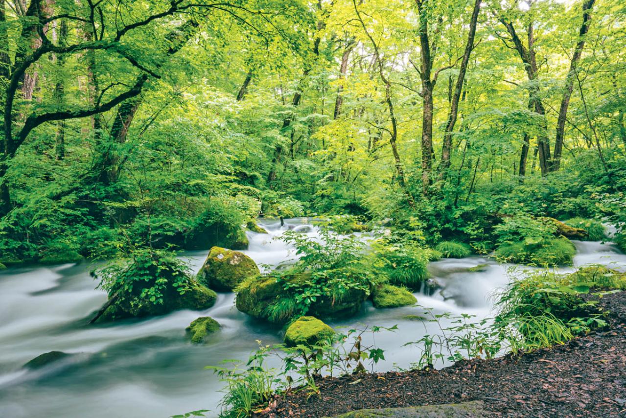 【真夏でも涼しい滝】3選｜旅行のプロおすすめの夏に行きたい日本の水辺（画像2）
