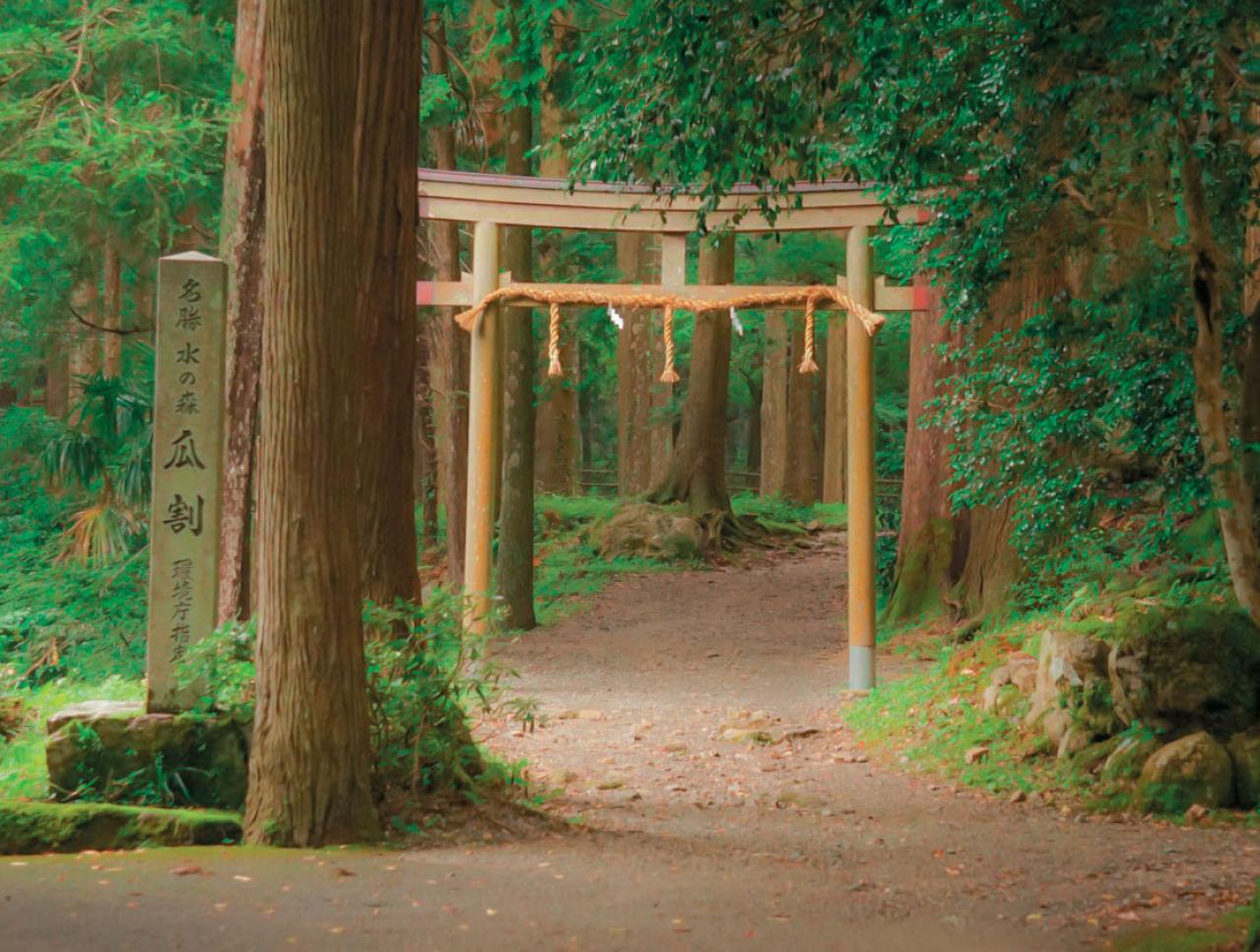 【真夏でも涼しい滝】3選｜旅行のプロおすすめの夏に行きたい日本の水辺（画像7）