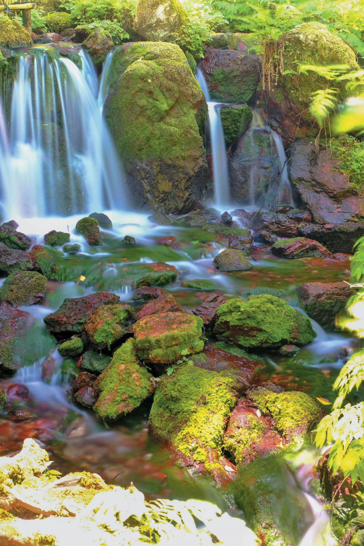 【真夏でも涼しい滝】3選｜旅行のプロおすすめの夏に行きたい日本の水辺（画像8）
