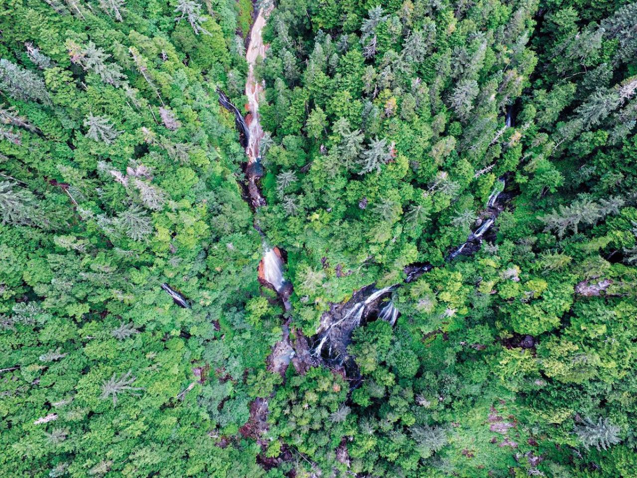 見るだけでもひんやり！迫力満点【パワーをもらえる滝】3選｜旅のプロが夏に行きたい日本の水辺（画像9）
